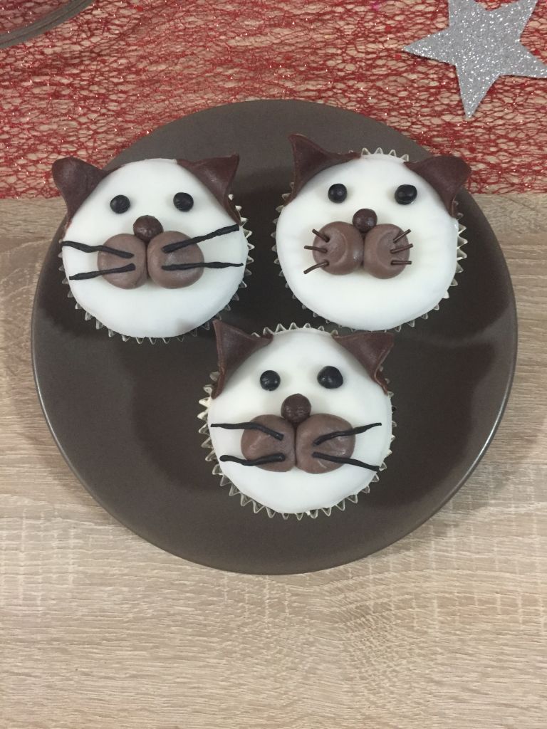 Cupcake Kočky