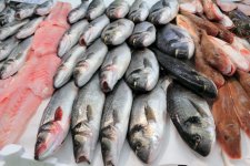 Obrázek lekce Ryby - nákup a příprava
