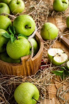 Sezóna jablek a švestek: připravte si chutné moučníky