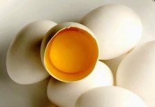 Obrázek lekce Vaření a používání vajec
