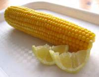 Kukuřice vařená