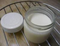 Domácí jogurt II