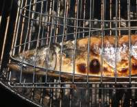 Makrely na grilu s cayenským pepřem