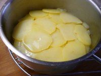 Holandské brambory